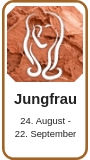 Virgo horoscope 2019