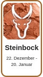 Capricorn horoscope 2019