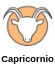 Capricorn zodiac sign