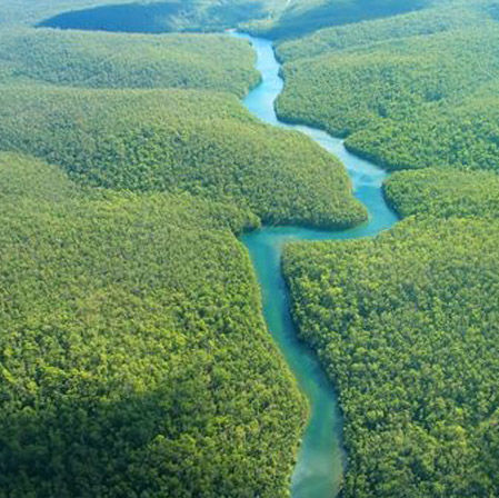 les eaux bleues du fleuve Amazone