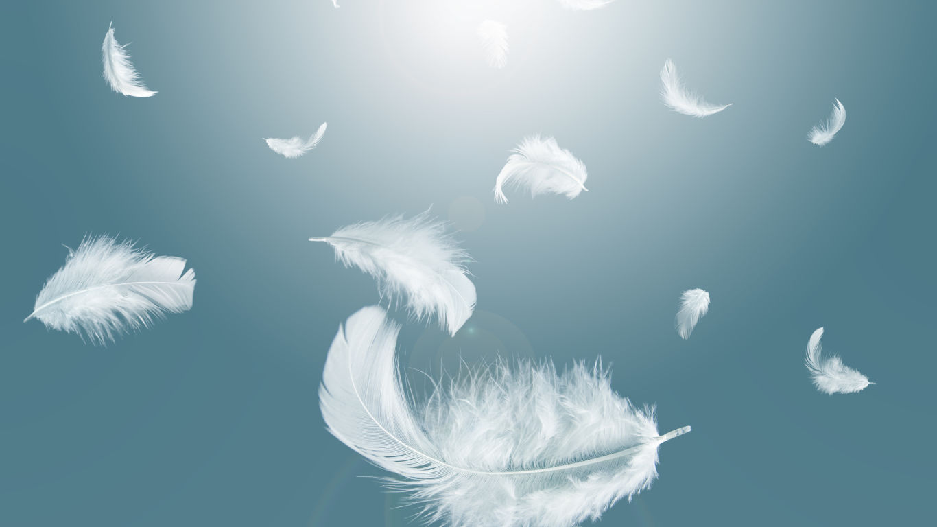 The Types of Feathers and Meanings A Message From The Angels