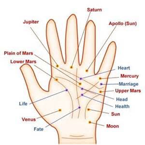 Understanding The Life Line On Your Hand: A Comprehensive Guide