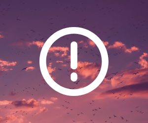 ALLERTA DALL'UNIVERSO: Il numero 404 ti parla! 🚨
