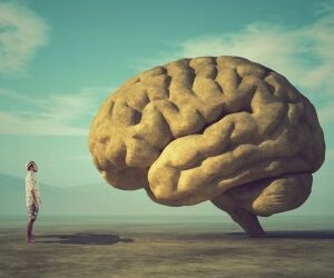Il cervello rettiliano è responsabile dei nostri comportamenti primari, mito o realtà?