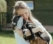 La Chèvre dans l'astrologie chinoise : qui est-il vraiment ?