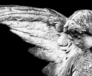Lecabel, el ángel de la guarda del talento y el discernimiento