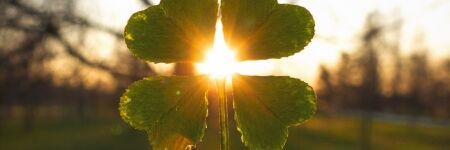 Qual è il portafortuna del tuo segno zodiacale? Guida ai 12 segni