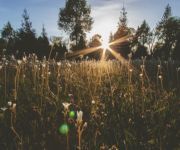 Litha : rituels simples pour célébrer le solstice d’été