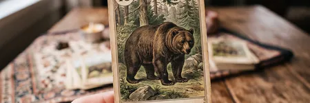 L'Orso nelle Sibille Lenormand: significato