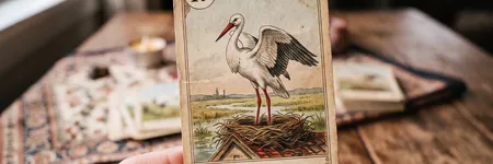 La Cicogna nelle Sibille Lenormand: significato
