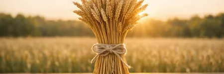 Quello che nessuno osa dire a una Vergine ♍ (ma tutti pensano)