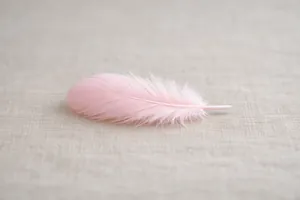Piuma rosa