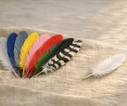 El significado del color de las plumas: El mensaje de los ángeles