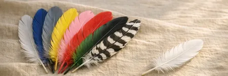Il significato delle piume: qual è il messaggio degli angeli?