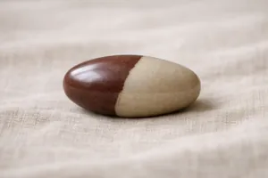 Der Shiva Lingam