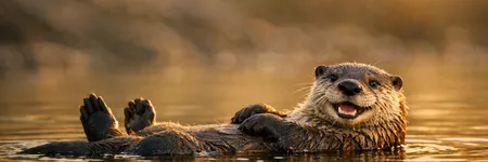 Qual è il significato dell'animale totem della Lontra?