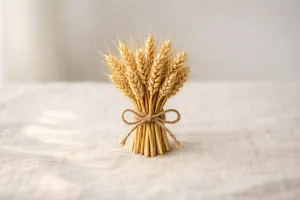 Il grano