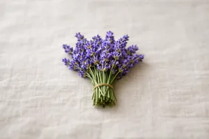 La lavanda
