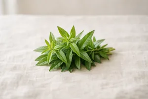 La verbena