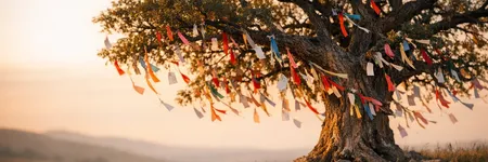 L’albero dei desideri: storia, significato e tradizione