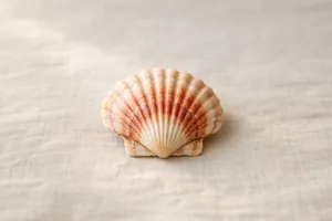 La capasanta