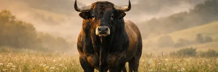 Come far impazzire un Toro in 5 frasi ♉🔥