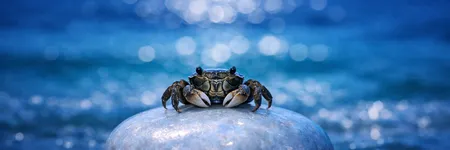 Come far impazzire un Cancro in 5 frasi ♋🦀