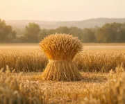 Comment rendre folle une Vierge en 5 phrases ♍🌾