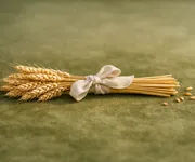 La verdad que Virgo NO quiere escuchar ♍🌾