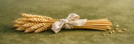 La verità che la Vergine NON vuole sentirsi dire ♍🌾