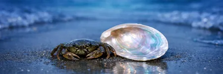 La verità che il Cancro NON vuole sentirsi dire ♋🦀