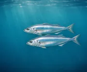 La verdad que Piscis NO quiere oír ♓🌊