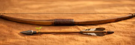 Cosa deve disimparare il Sagittario per evolvere ♐🌱