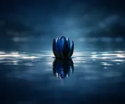 Ce que le Scorpion doit désapprendre pour évoluer ♏🌱
