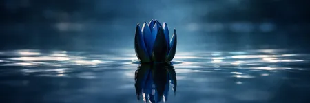 Cosa deve disimparare lo Scorpione per evolvere ♏🌱