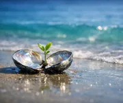 Ce que le Poissons doit désapprendre pour évoluer ♓🌱