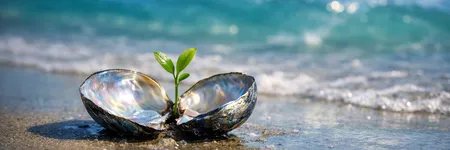Cosa deve disimparare il Pesci per evolvere ♓🌱