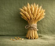 Başak'ın gelişmek için bırakması gerekenler ♍🌱