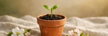 Cosa deve disimparare il Toro per evolvere ♉🌱