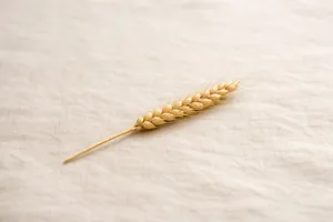 Başak