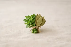 Salsa e louro
