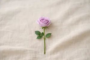 Rosa cor-de-rosa velho