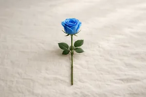 Rosa azul