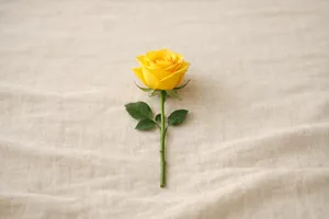 Rosa amarela