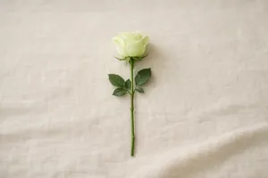 Rosa verde