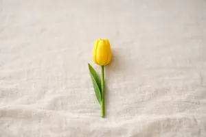 Il tulipano giallo