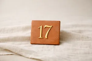 Il numero 17