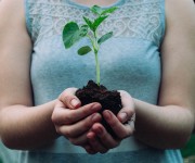 Los signos de tierra: características, vida amorosa y más